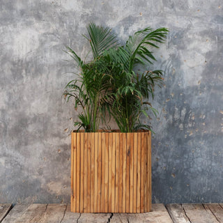 Florela Planter - Qarnation